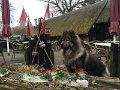 djago (32)