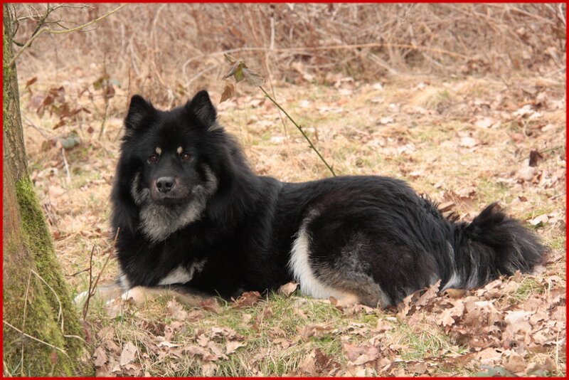 2 (64).jpg - Franziska