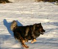 eynuk_jan09