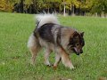 bilder_3 (11)