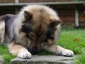 bilder_3 (12)
