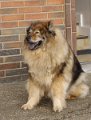 bilder_3 (15)
