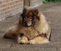 bilder_3 (17)