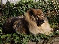 bilder_3 (18)