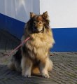 bilder_3 (19)