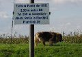 bilder_3 (20)