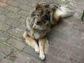 bilder_3 (6)