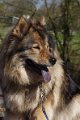 bilder_2 (10)