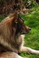 bilder_2 (11)