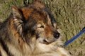 bilder_2 (15)