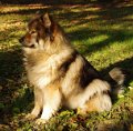 bilder_2 (17)