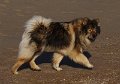 bilder_2 (19)