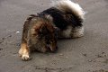 bilder_2 (20)