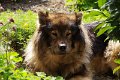 bilder_2 (21)