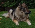 bilder_2 (22)