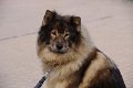 bilder_2 (23)
