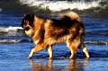 bilder_2 (25)