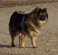 bilder_2 (26)