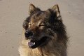 bilder_2 (28)