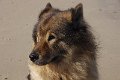 bilder_2 (29)