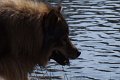 bilder_2 (3)