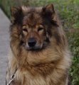 bilder_2 (31)