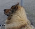 bilder_2 (32)