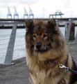bilder_2 (33)