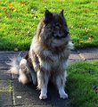 bilder_2 (35)