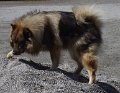 bilder_2 (38)