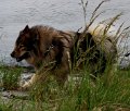 bilder_2 (4)