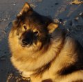 bilder_2 (40)