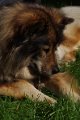 bilder_2 (5)