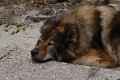 bilder_2 (6)