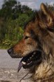 bilder_2 (7)