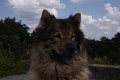 bilder_2 (8)