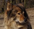 bilder_2 (9)