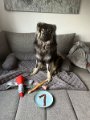 6 (1)