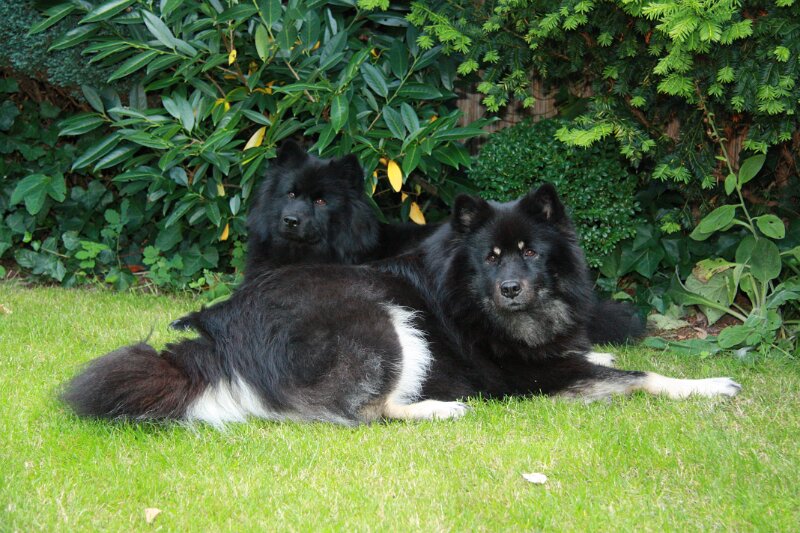 b (1).JPG - Franziska und Malaika