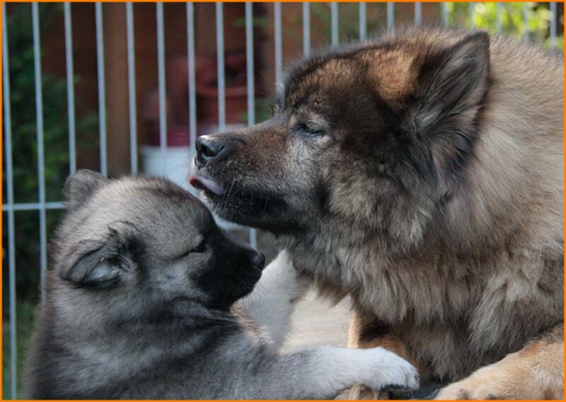 b (77).jpg - Anuschka