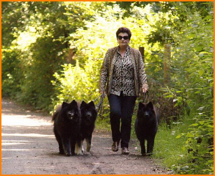 b (84).jpg - Unser Rudel - Franiska, Iva Malaika und Fe Jaruscha