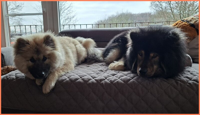 b (96).jpg - Lio und Teddy