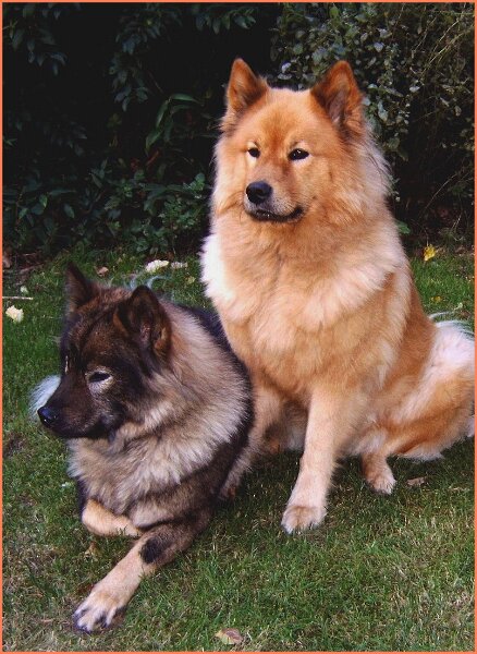 a.jpg - Kris-Djana und Anuschka