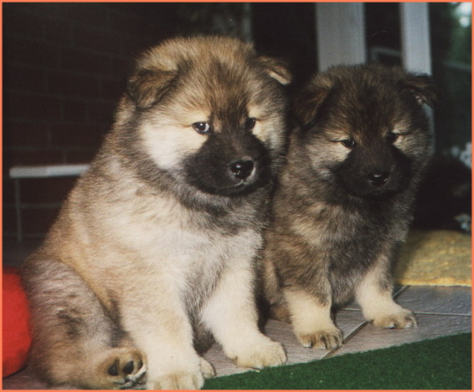 b.jpg - Alischa und Anuschka