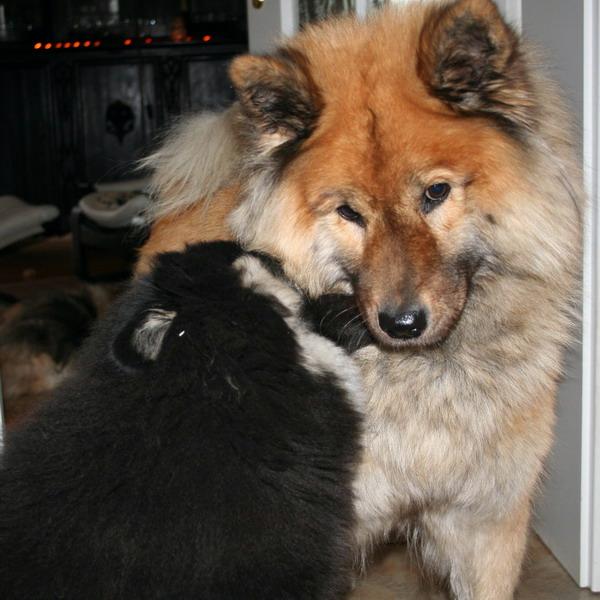 bojara_22.jpg - BoJara und Franzi