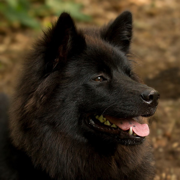 jaruscha (1).jpg - Fe Jaruscha