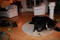 Erinnerung (40)