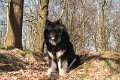 Erinnerung (7)
