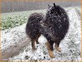 20180105