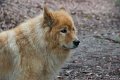 Neukloster092013-8121
